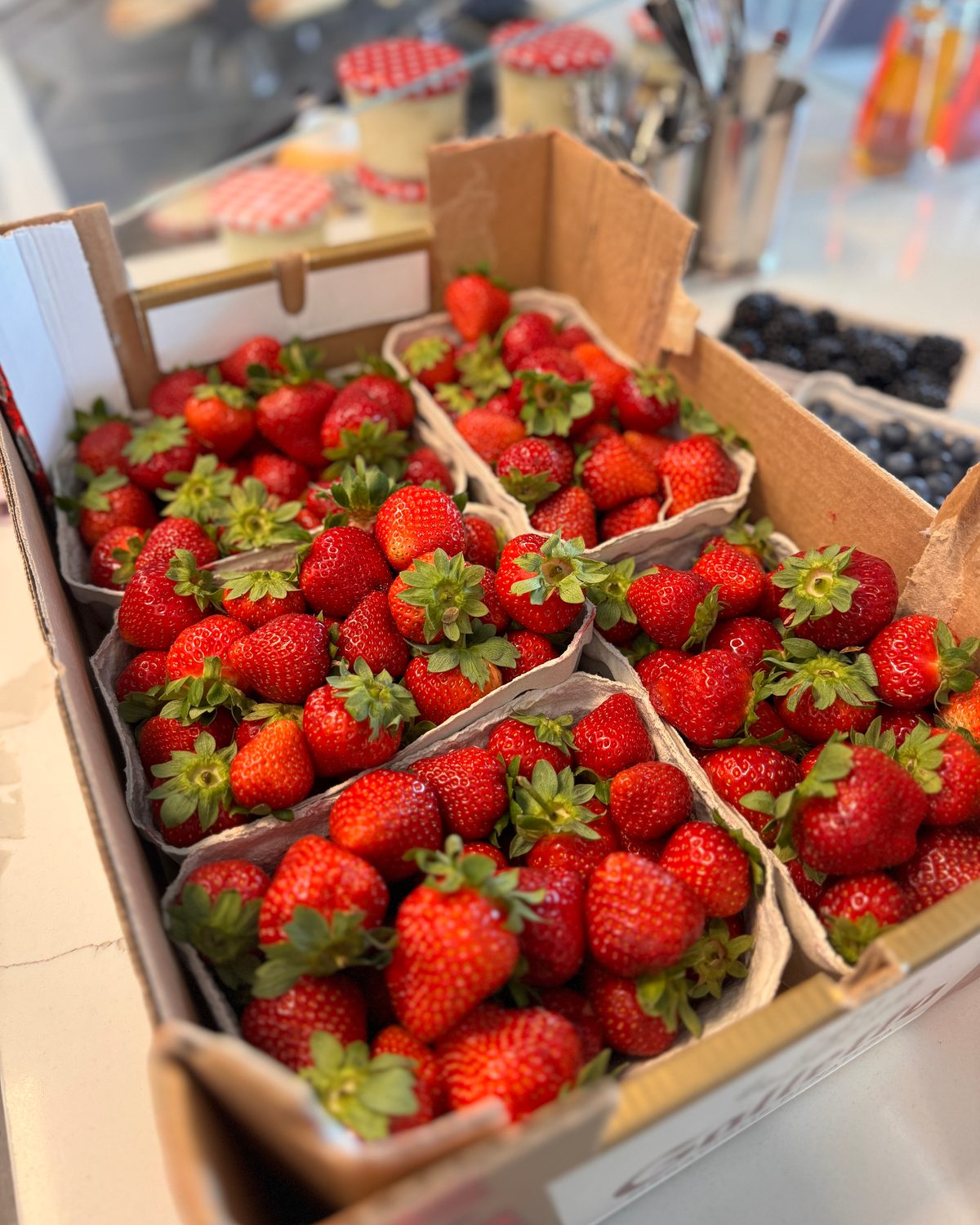 Schalen mit frischen Erdbeeren, dahinter Heidelbeeren