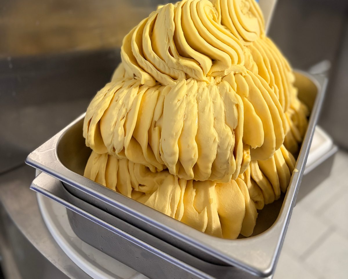 Gelbes Gelato läuft frisch aus der Eismaschine in die Wanne